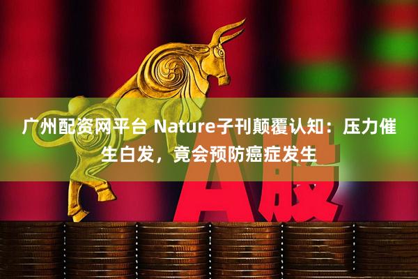 广州配资网平台 Nature子刊颠覆认知：压力催生白发，竟会预防癌症发生