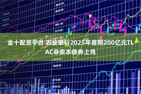 金十配资平台 农业银行2025年首期200亿元TLAC非资本债券上线