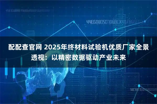 配配查官网 2025年终材料试验机优质厂家全景透视：以精密数据驱动产业未来