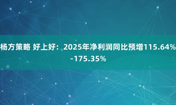 杨方策略 好上好：2025年净利润同比预增115.64%-175.35%