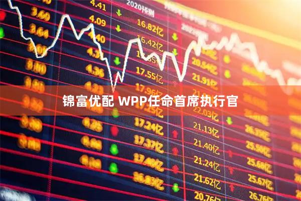 锦富优配 WPP任命首席执行官